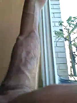 molozeb webcam