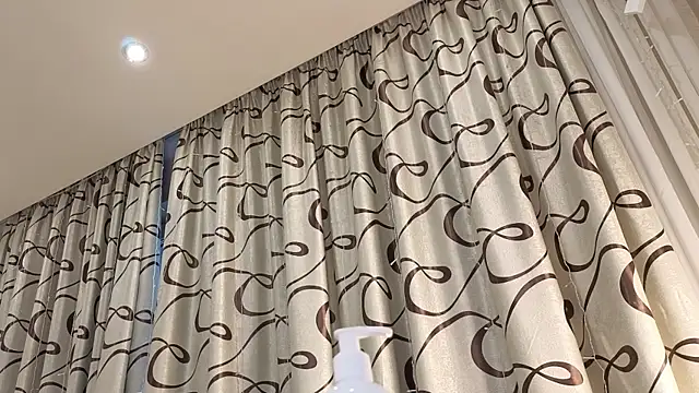 dolly_ll webcam