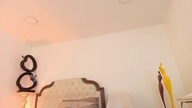 Arya-02 webcam