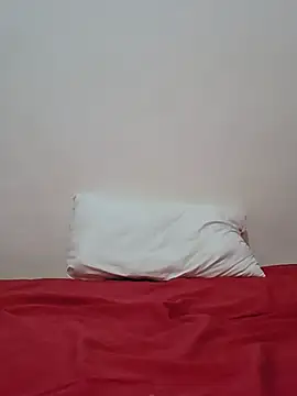 altinya webcam