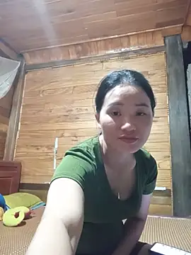 Td3di webcam