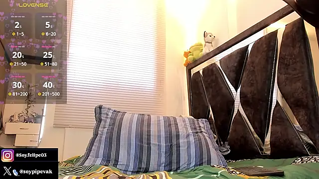 soyander03_ webcam