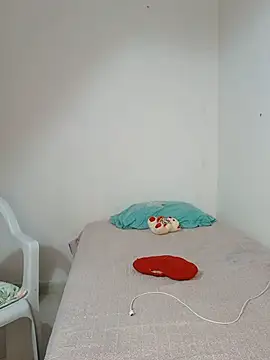 Agatha_browser webcam
