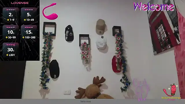 Stifanny_20cm webcam