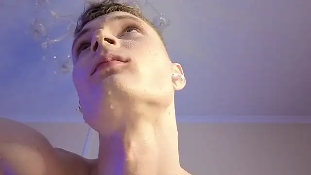viksons webcam