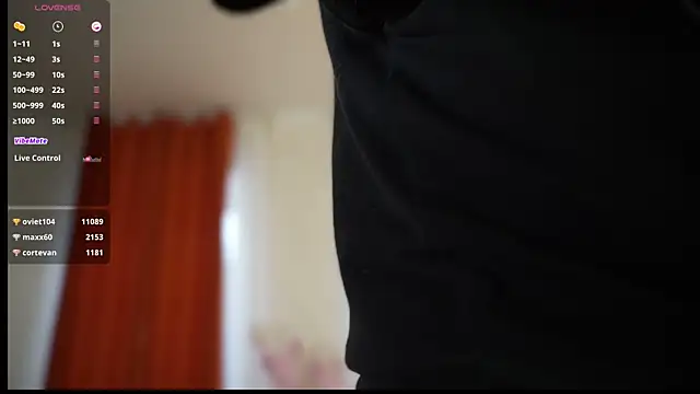 LAUREL_HAZEL webcam