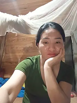 Td3di webcam