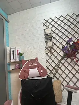 SALOME_KORLAND webcam