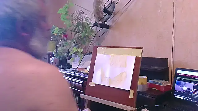 Art_Ass webcam