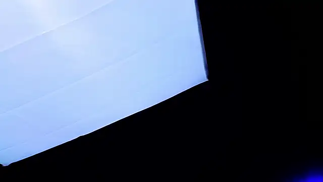 PerryKitty webcam