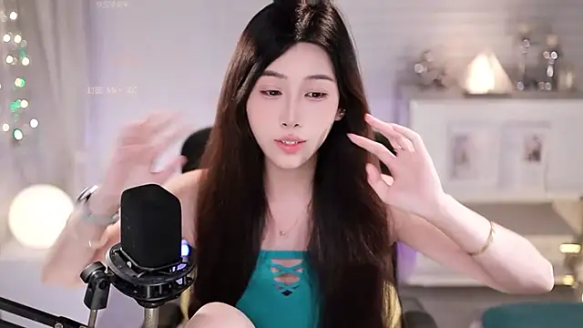 SleepArtist webcam