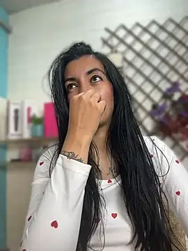SALOME_KORLAND webcam
