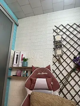 SALOME_KORLAND webcam