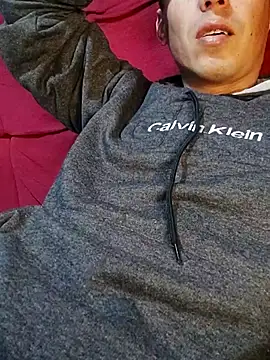 Gavii2026 webcam