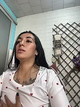 SALOME_KORLAND webcam
