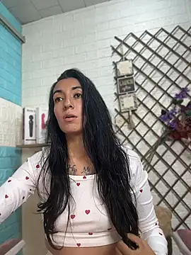 SALOME_KORLAND webcam