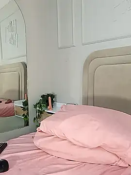Liastarkk webcam
