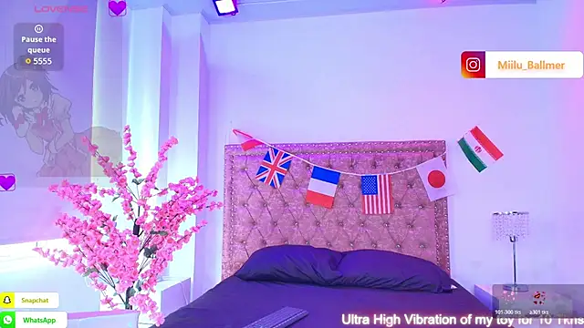 Milu_ballmer webcam