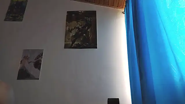 PaulDamico webcam