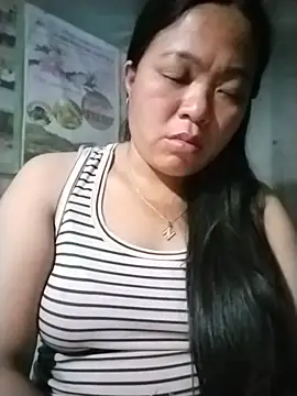 Min-in webcam