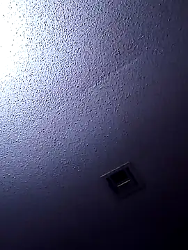 Blkstylion webcam