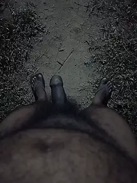 Hiptonos webcam