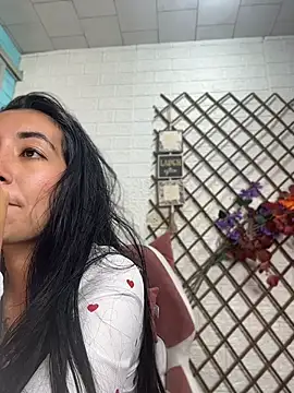 SALOME_KORLAND webcam
