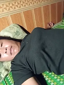 Ip34 webcam