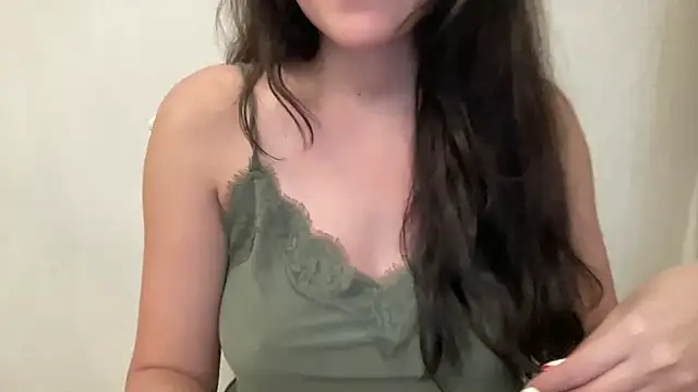 Saylenn webcam
