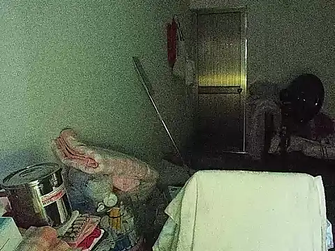 RebelAura webcam