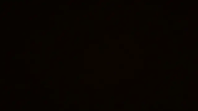 thomasshubb webcam