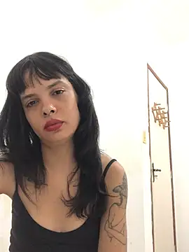 pinacarracci webcam