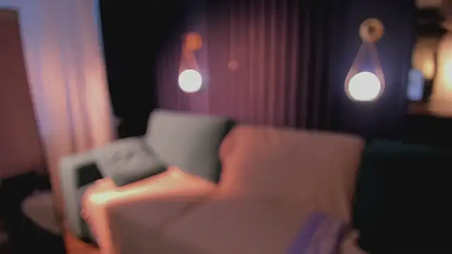 true_voice webcam