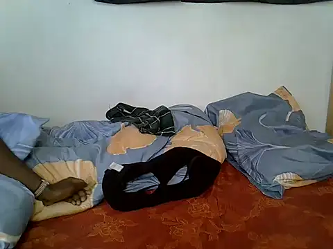 zelyp webcam