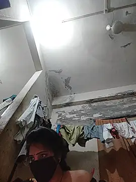 arti8080 webcam