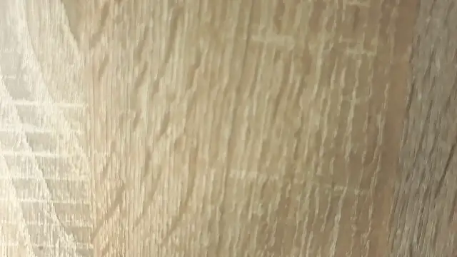 NoFace_Model webcam