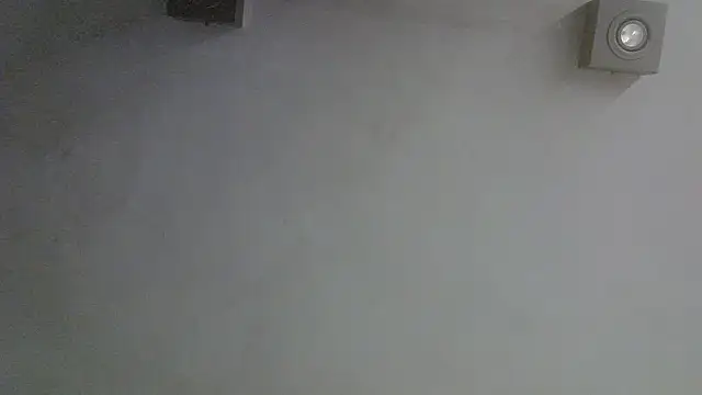 SkinnyKitten webcam