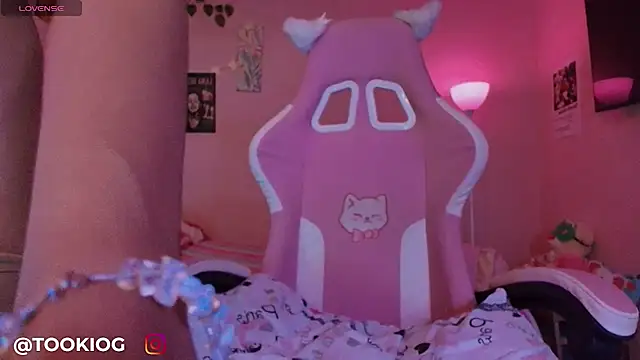 TOOKIOG_ webcam