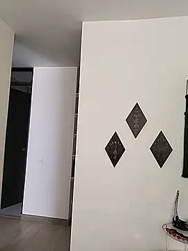 Fleurmeyer79 webcam