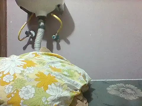 mislover webcam