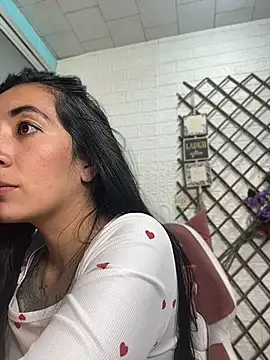 SALOME_KORLAND webcam