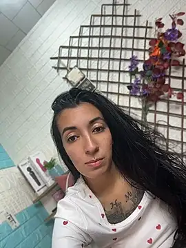 SALOME_KORLAND webcam