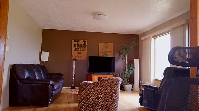 BasicAnt webcam