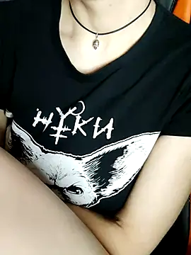 Aashikalaa webcam