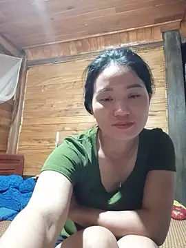 Td3di webcam