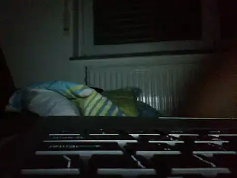 FROL83 webcam