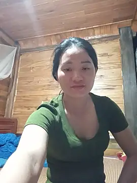Td3di webcam