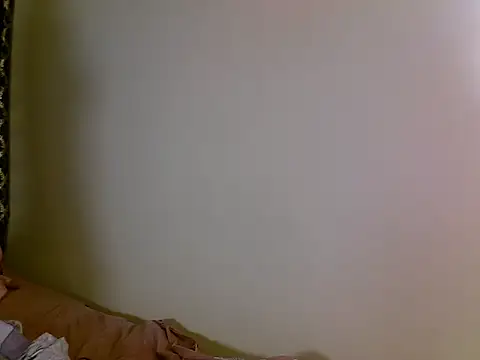 Petitesin webcam