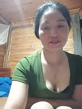Td3di webcam