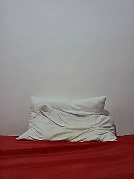 altinya webcam